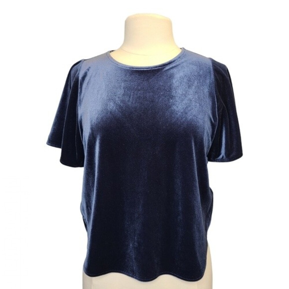 Madewell Women's S Crew Neck Blue Velvet Butterfly Short Sleeve Top